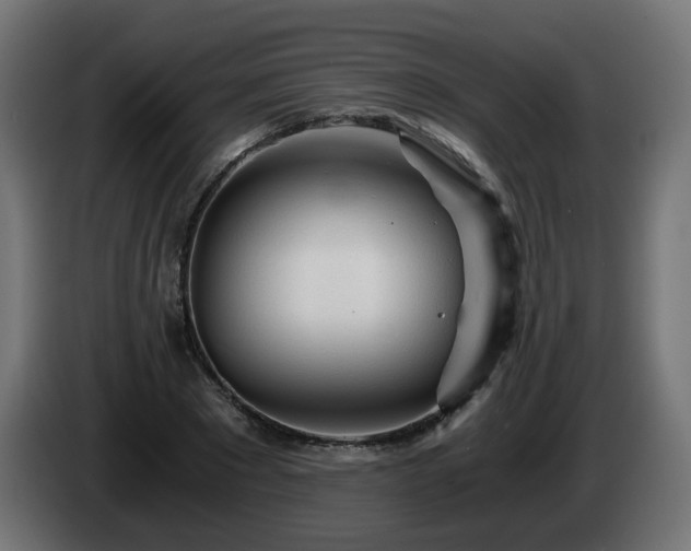 X0000084550881200703021503