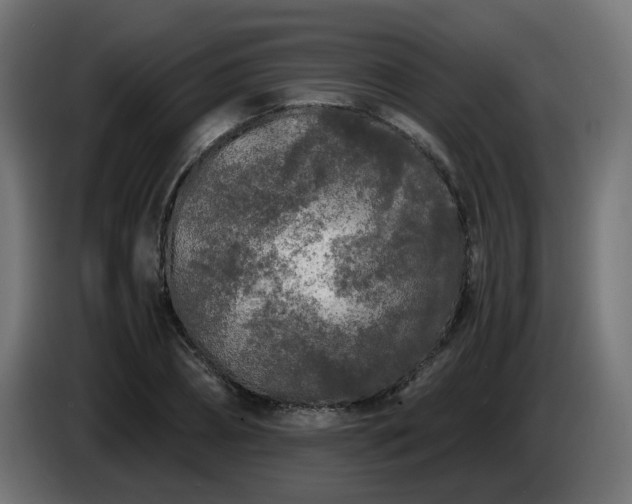 X0000084550882200703021503