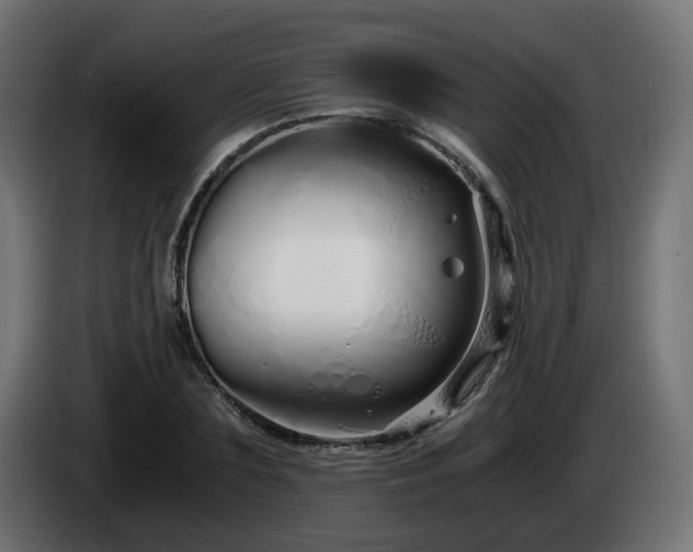 X0000084550883200703021503