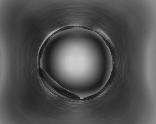 X0000084550884200703021503