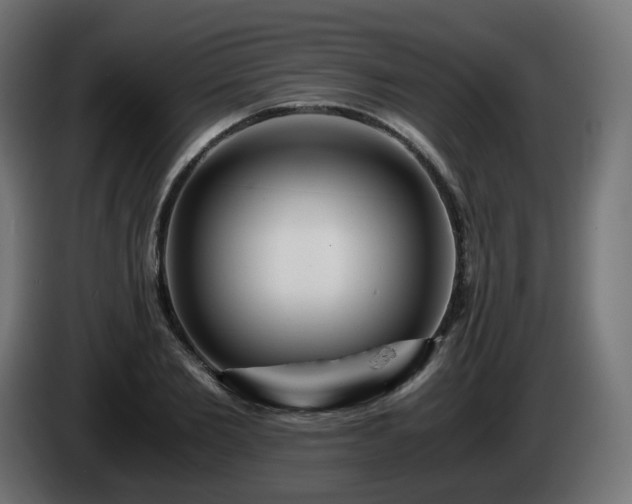 X0000084550885200703021503