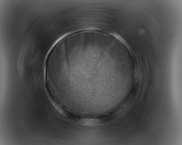 X0000084550886200703021503