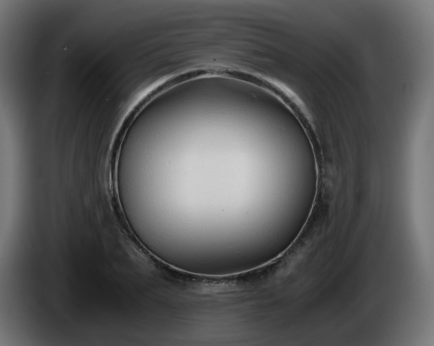 X0000084550887200703021503