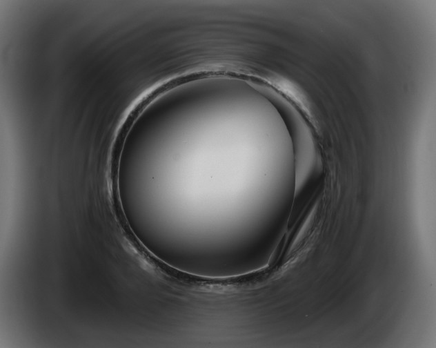 X0000084550888200703021503