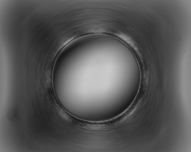 X0000084550889200703021503