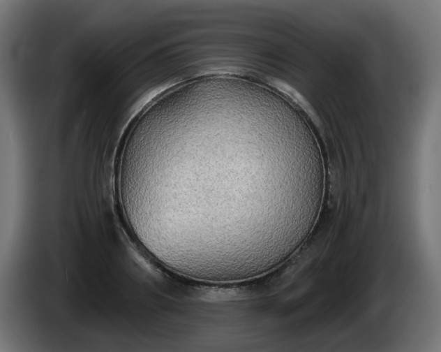 X0000084550890200703021503