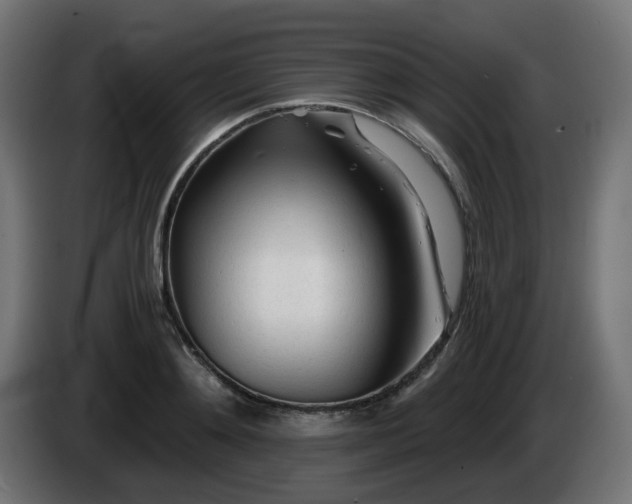 X0000084550892200703021503