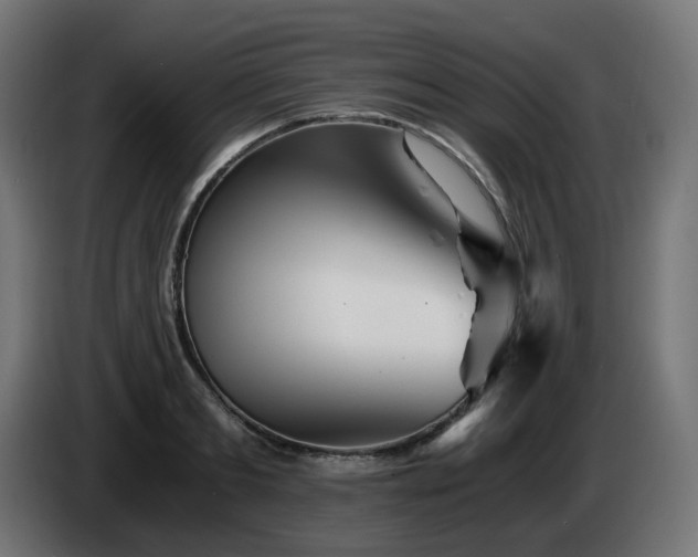 X0000084550893200703021503