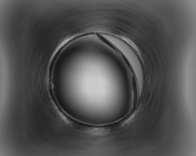 X0000084550894200703021503
