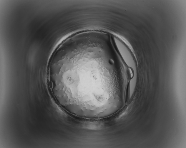 X0000084550895200703021503