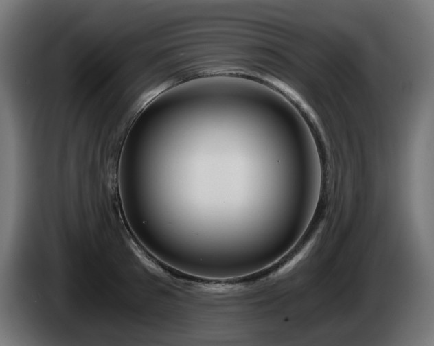 X0000084550897200703021503