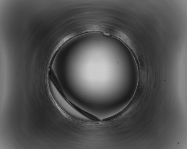 X0000084550898200703021503