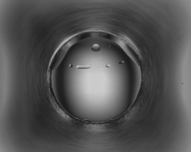 X0000084550900200703021503