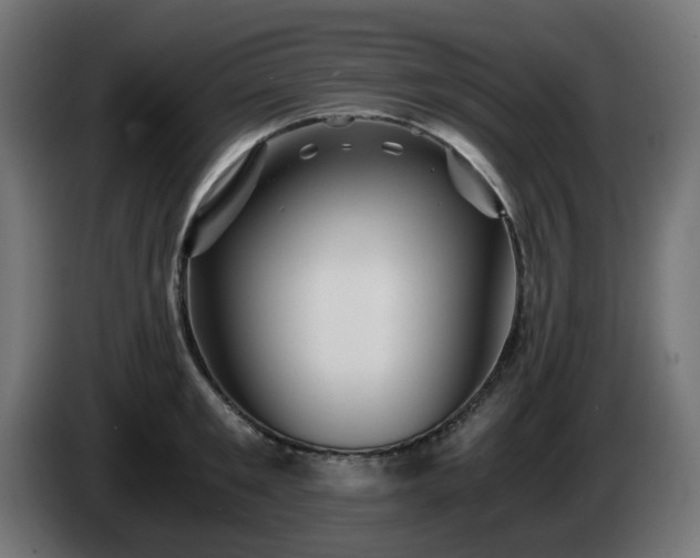 X0000084550901200703021503