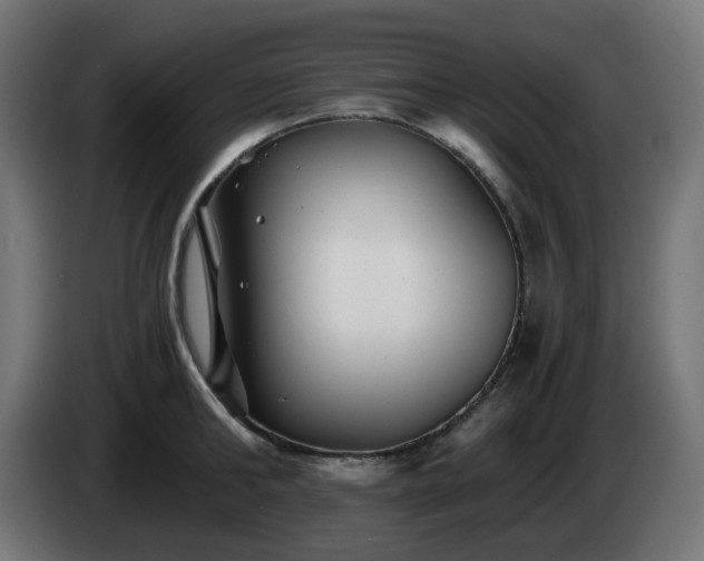 X0000084550902200703021503