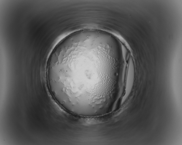 X0000084550903200703021503
