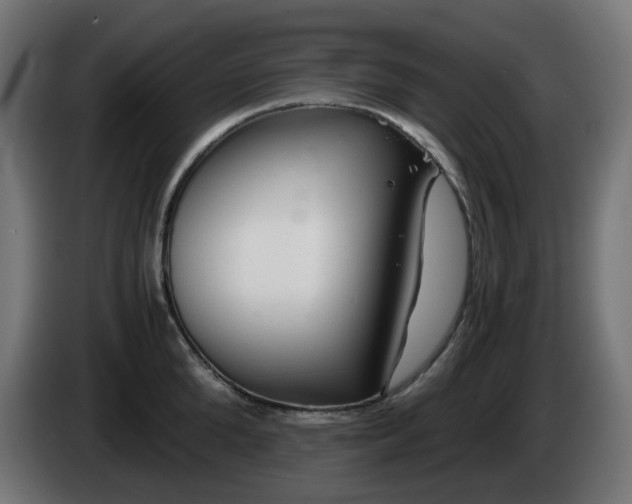 X0000084550904200703021503