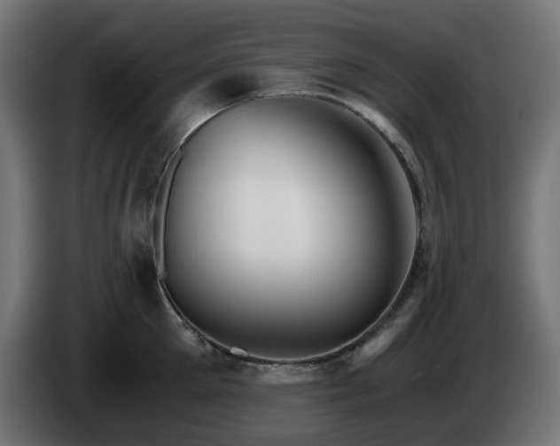X0000084550905200703021503
