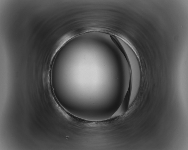 X0000084550906200703021503