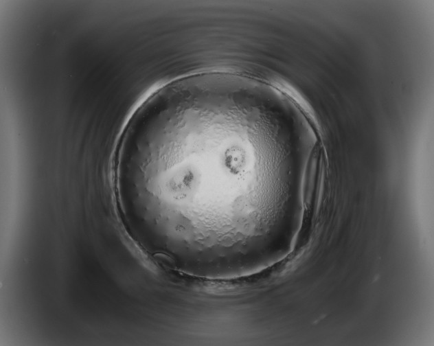 X0000084550907200703021503