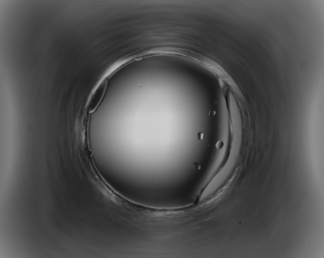X0000084550908200703021503
