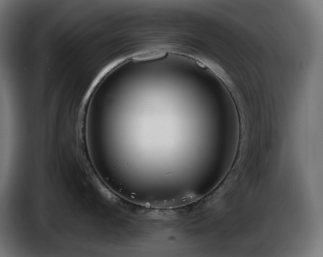 X0000084550912200703021503