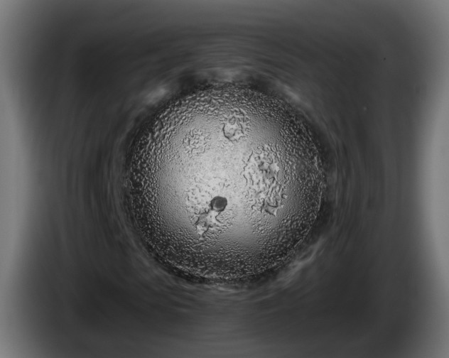 X0000084550913200703021502