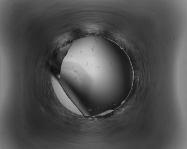 X0000084550916200703021502
