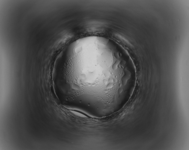 X0000084550917200703021502