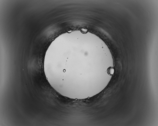 X0000084550918200703021502