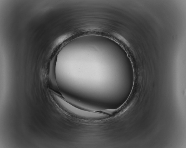X0000084550922200703021502