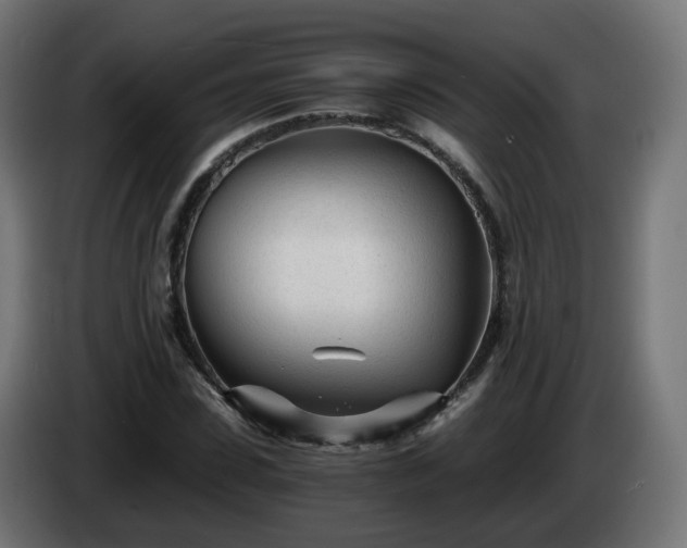 X0000084550923200703021502