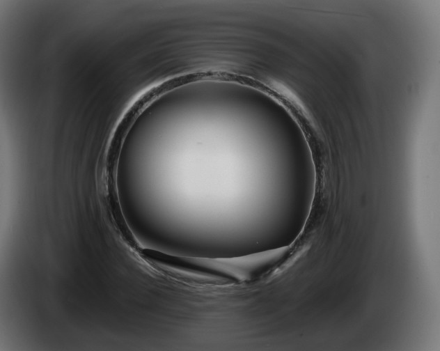 X0000084550924200703021502