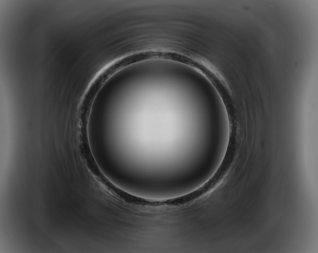 X0000084550926200703021502