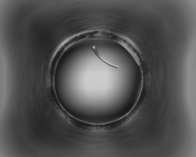 X0000084550927200703021502