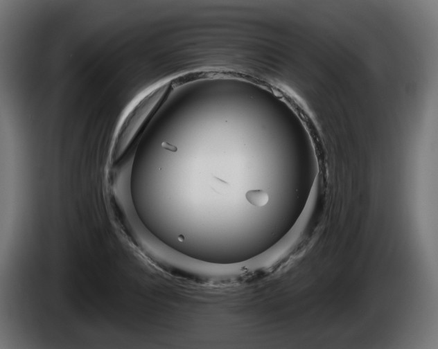 X0000084550928200703021502