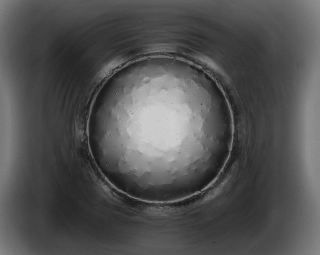 X0000084550929200703021502