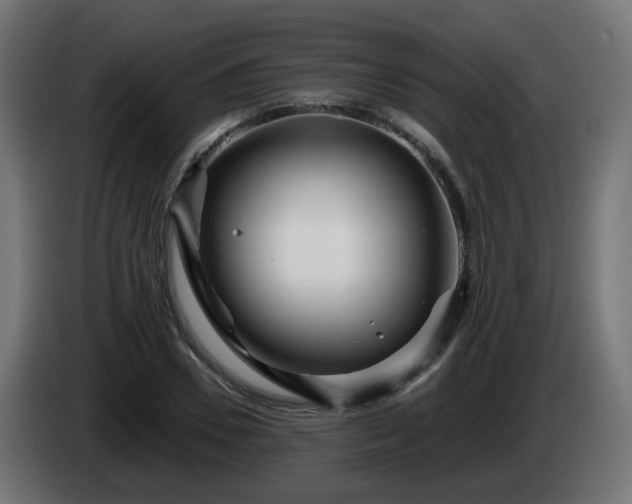 X0000084550930200703021503