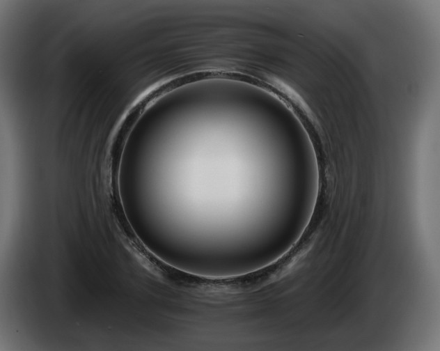X0000084550931200703021503