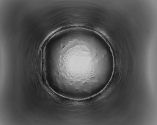 X0000084550933200703021503