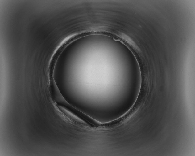 X0000084550934200703021503