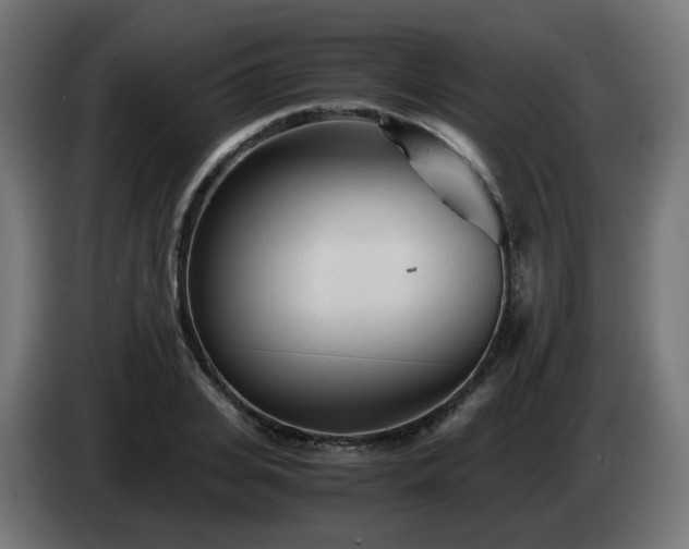 X0000084550935200703021503