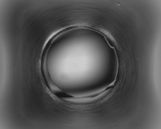 X0000084550936200703021503