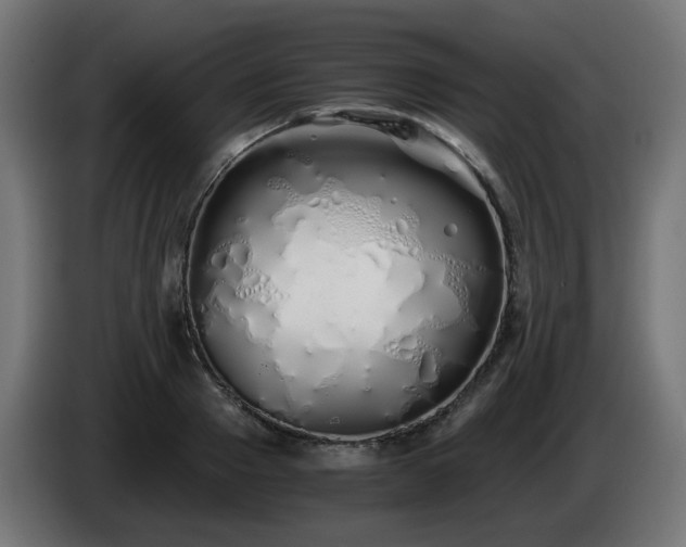 X0000084550937200703021503