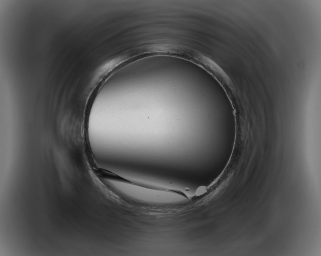 X0000084550938200703021503