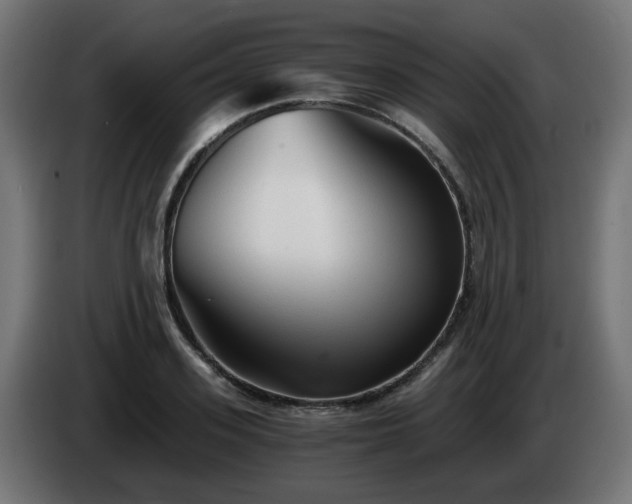 X0000084550939200703021503