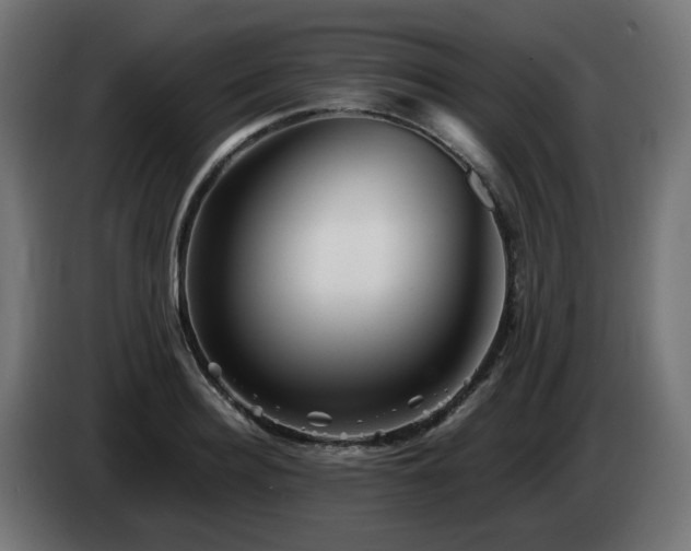 X0000084550940200703021503