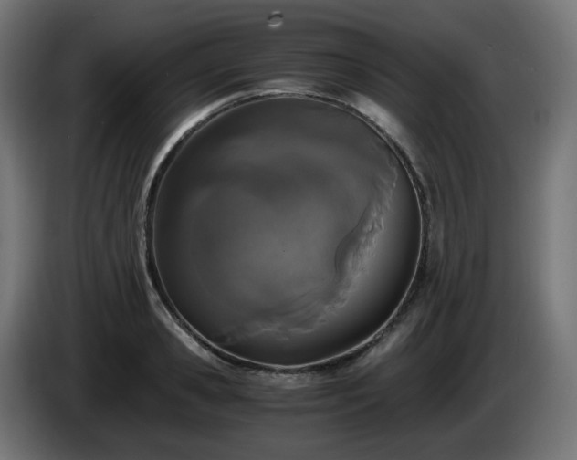 X0000084550941200703021503