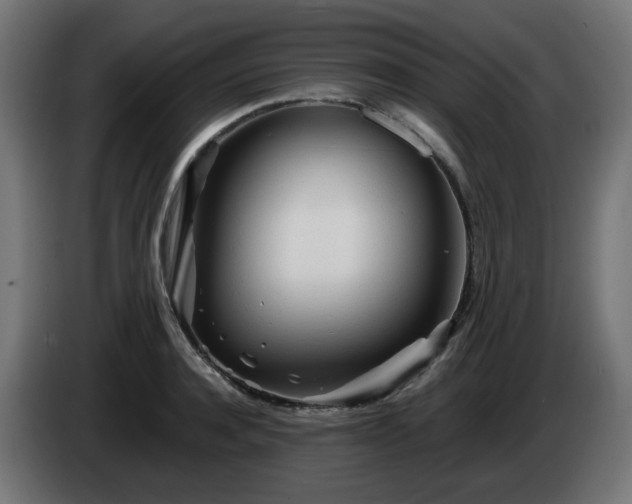 X0000084550944200703021503