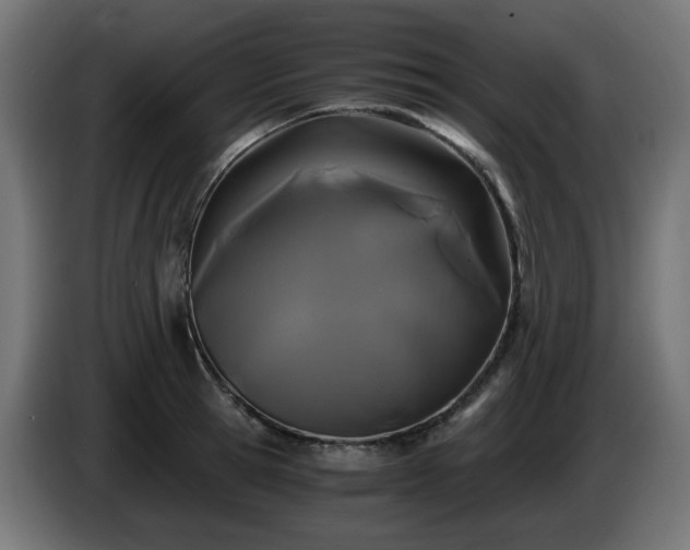X0000084550945200703021503